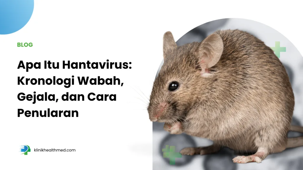 apa itu hantavirus, kronologi hantavirus kapal pesiar, gejala hantavirus, hantavirus menular atau tidak