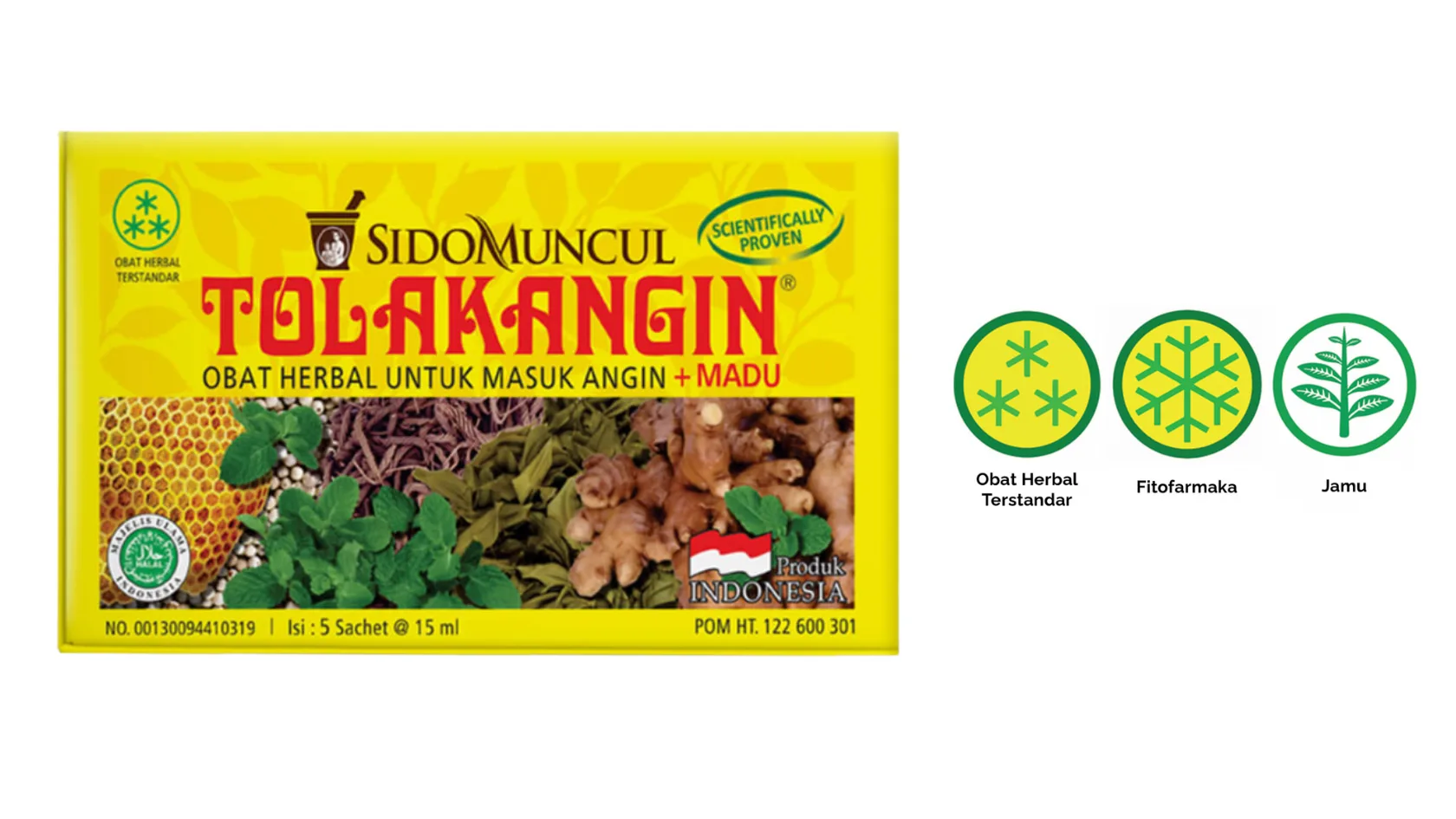 Arti Logo Obat Herbal (Jamu, OHT, dan Fitofarmaka)