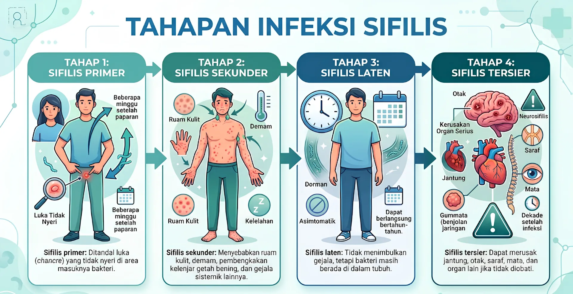 Tahapan Infeksi Sifilis