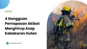4 Gangguan Pernapasan Akibat Menghirup Asap Kebakaran Hutan
