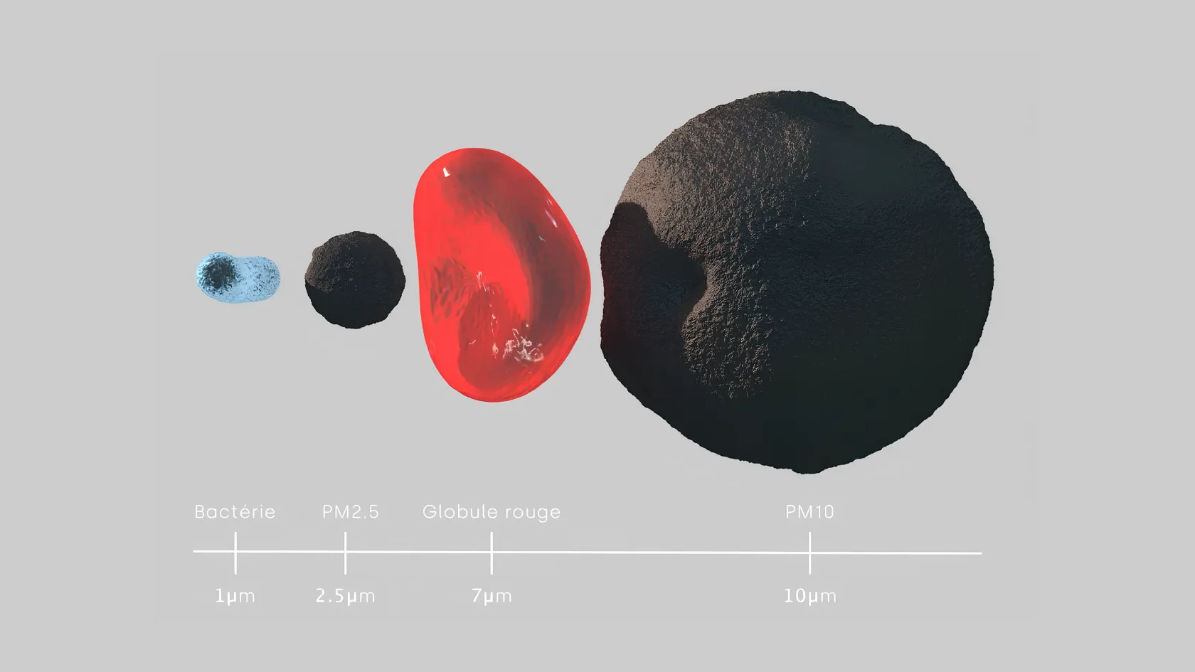 Understanding Air Pollution PM2.5 particles - R-PUR